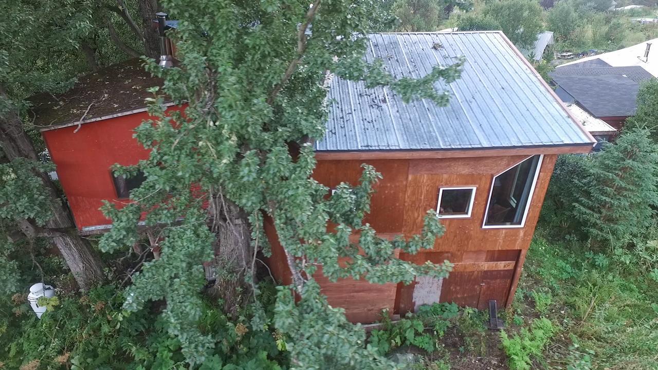 Cottonwood Cabins Villa Fritz Creek Exterior photo